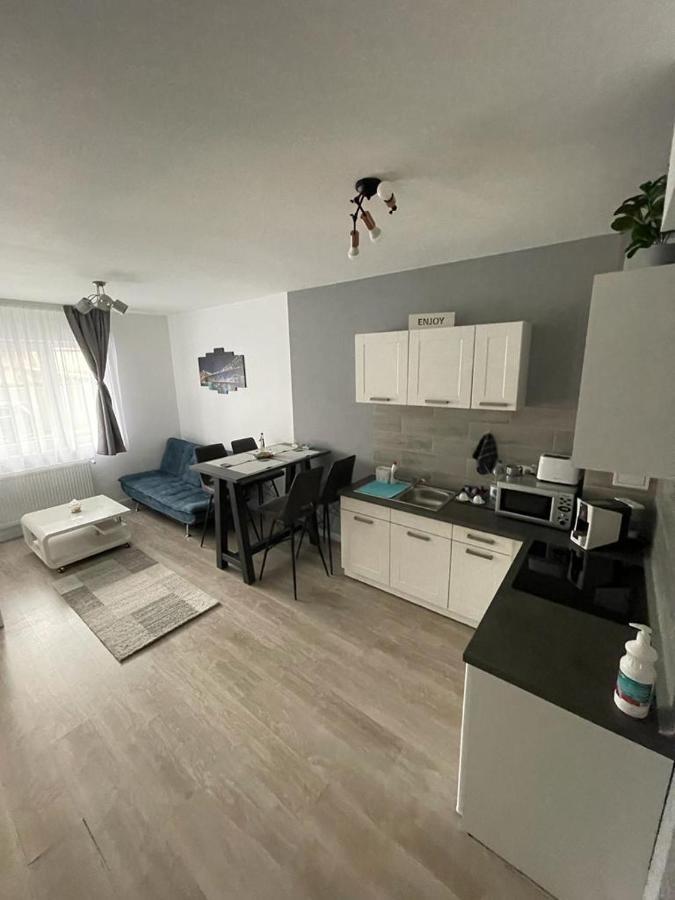 Phoenix Luxury Apartment オラデア エクステリア 写真