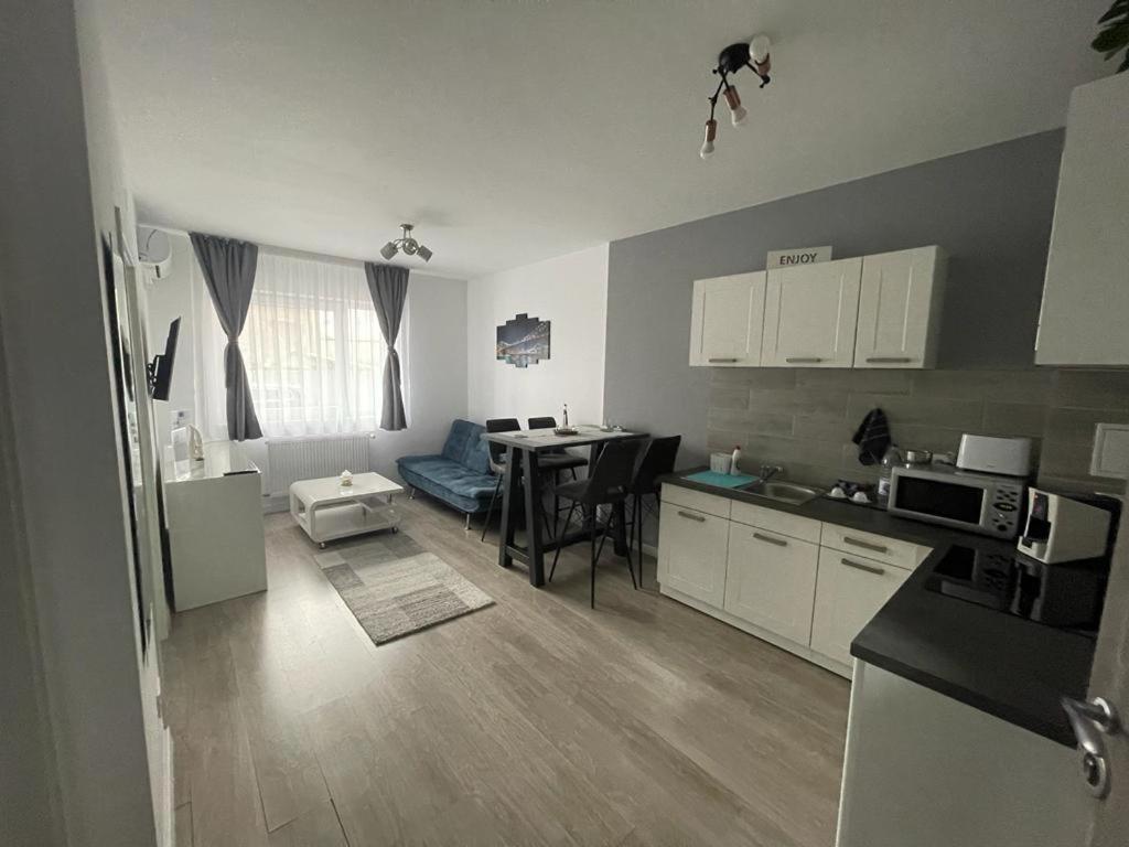 Phoenix Luxury Apartment オラデア エクステリア 写真